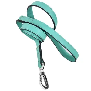 Athena Dog Leash in Turquoise & Nickel