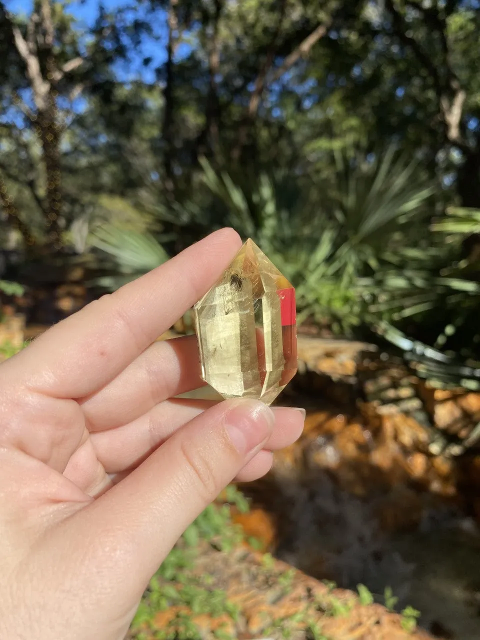 Double Terminated Lemon Quartz Small