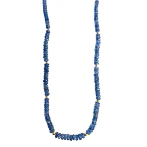 Kyanite & Gold Bead Necklace