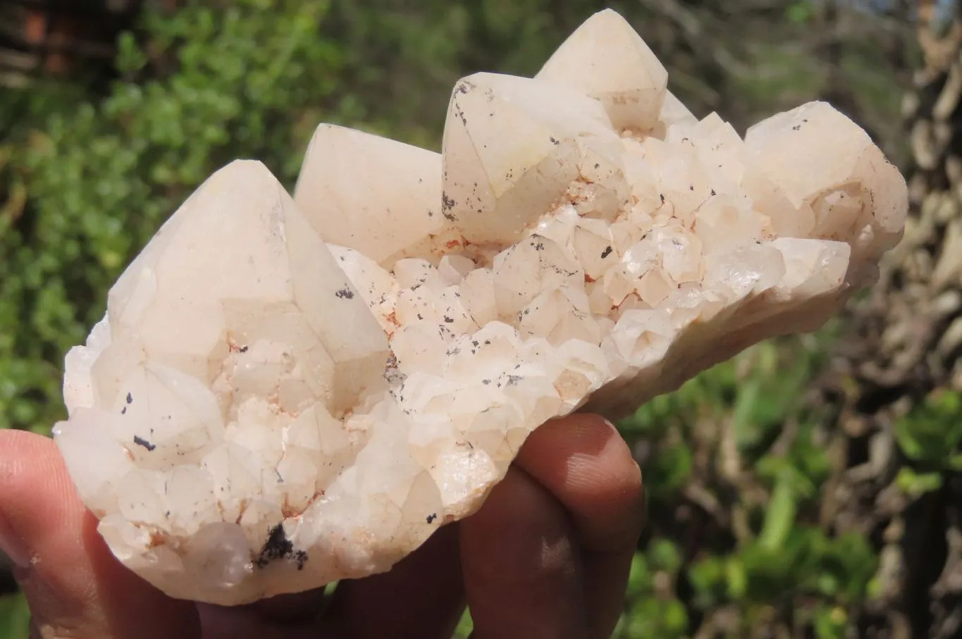 Natural Candle Quartz Clusters x 5 From Antsirabe, Madagascar