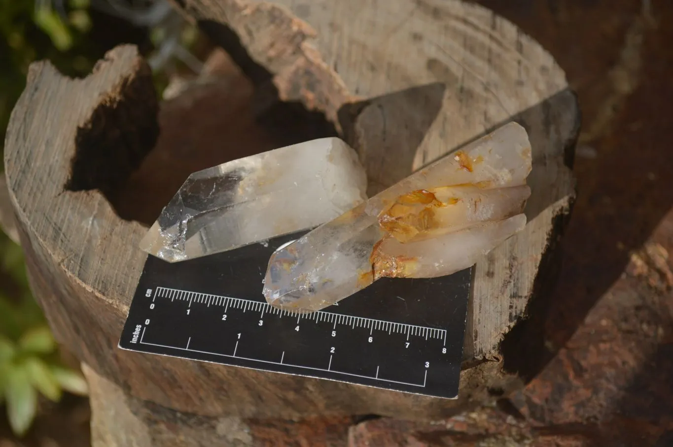 Natural Clear Quartz Crystals x 12 From Mpika, Zambia