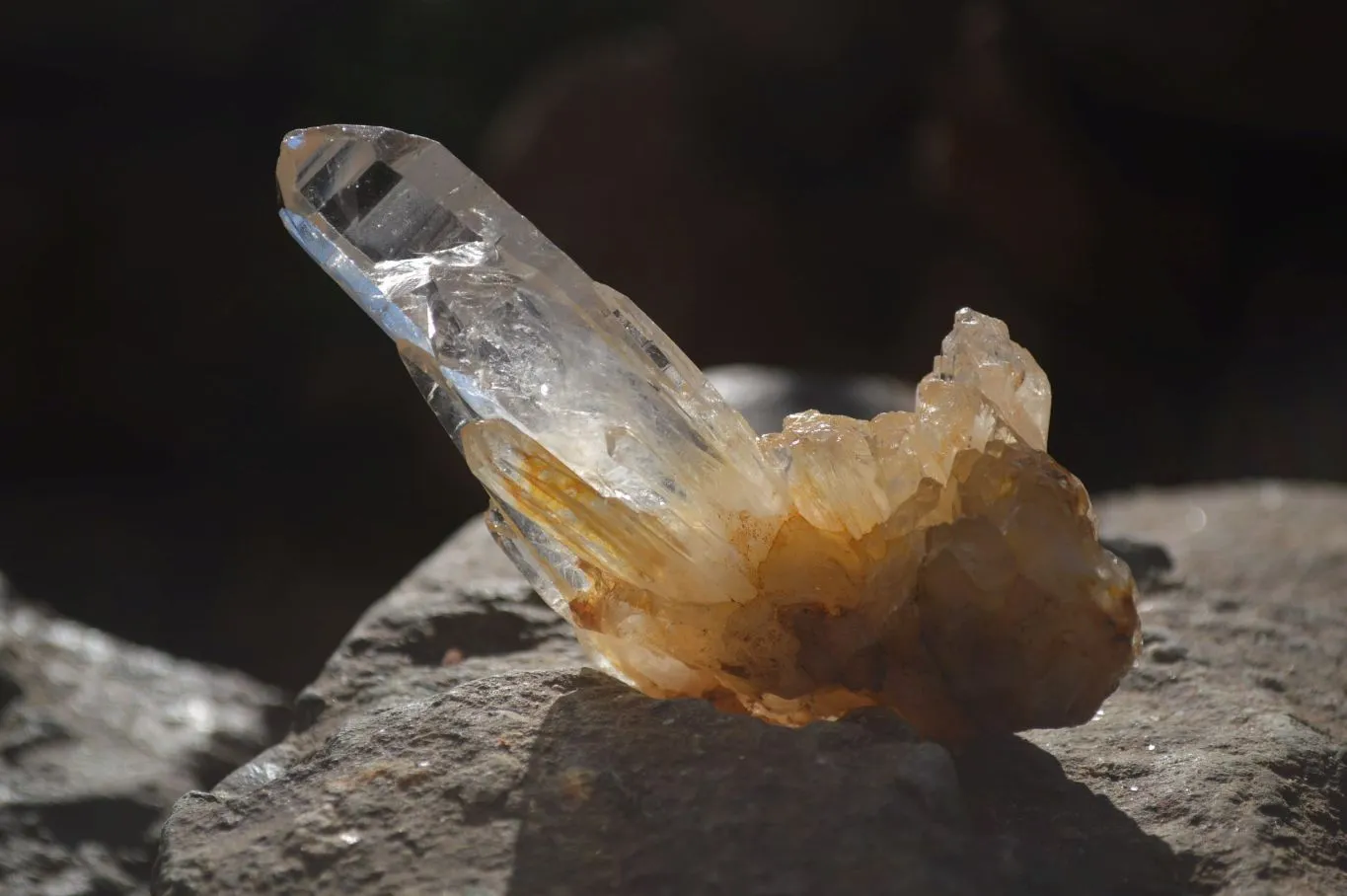 Natural Clear Quartz Crystals x 12 From Mpika, Zambia