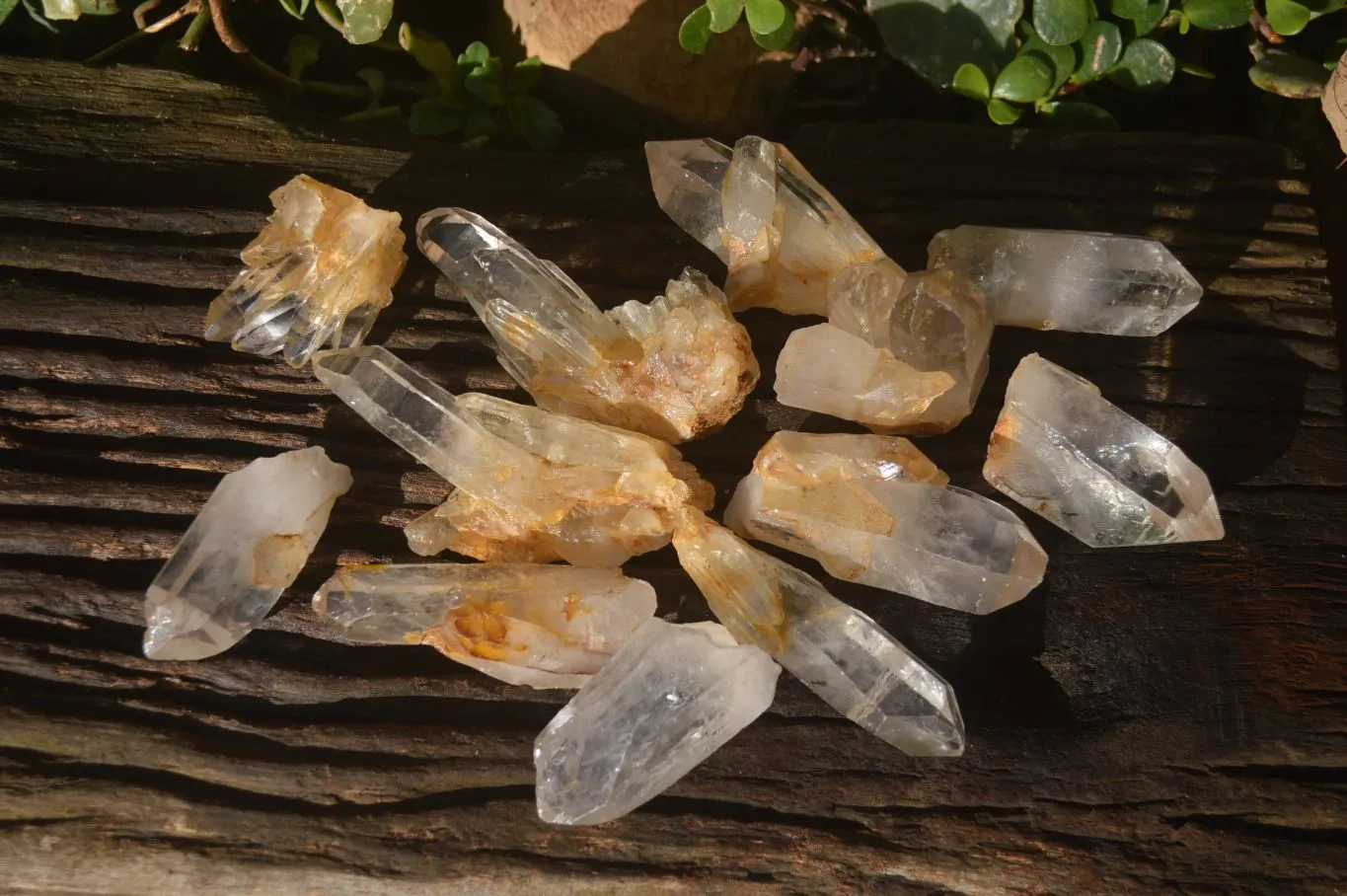 Natural Clear Quartz Crystals x 12 From Mpika, Zambia