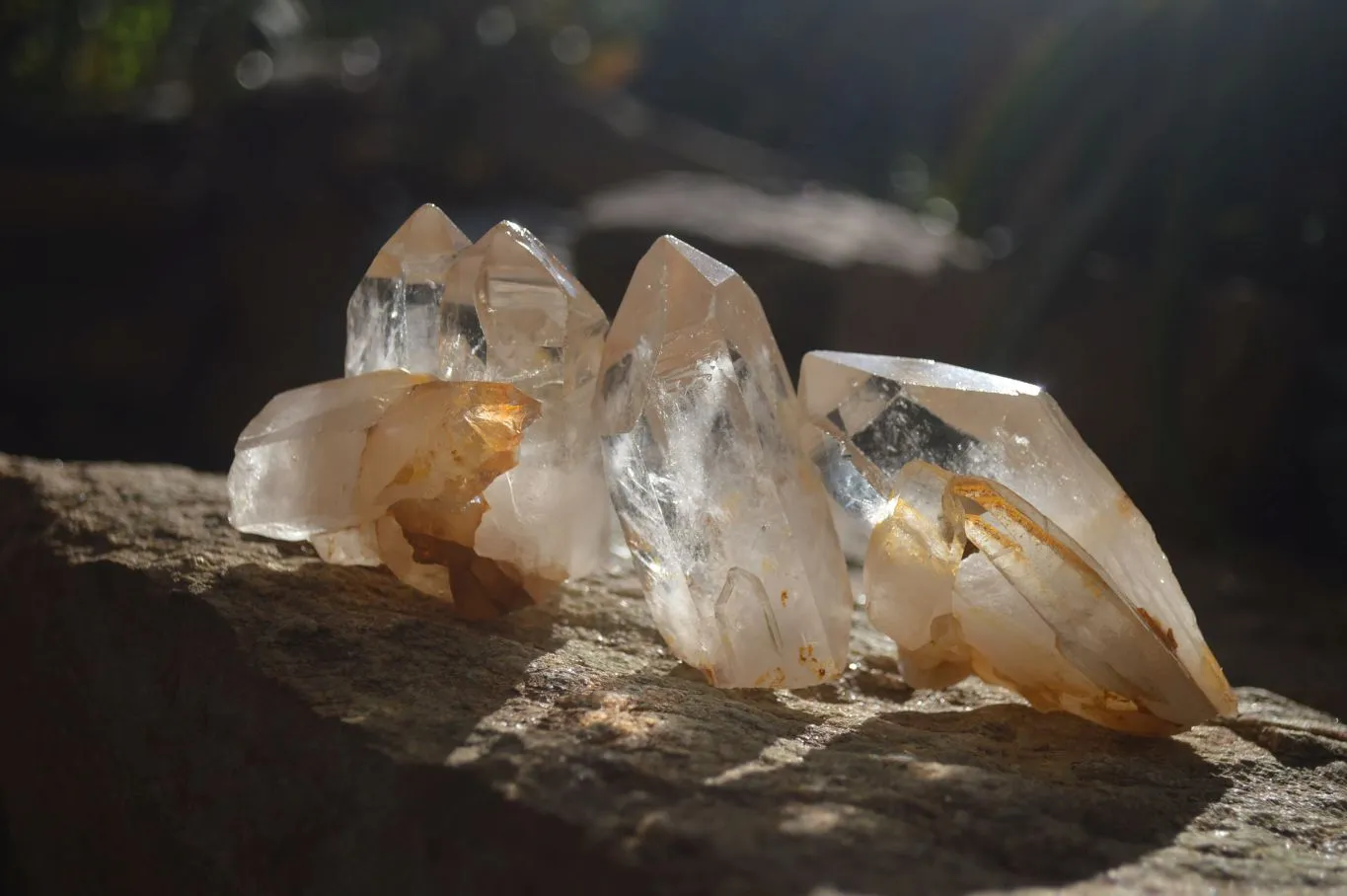 Natural Clear Quartz Crystals x 12 From Mpika, Zambia