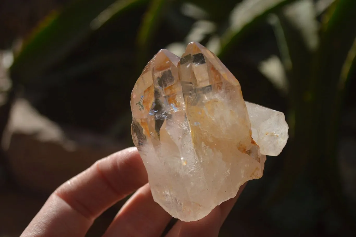 Natural Clear Quartz Crystals x 12 From Mpika, Zambia