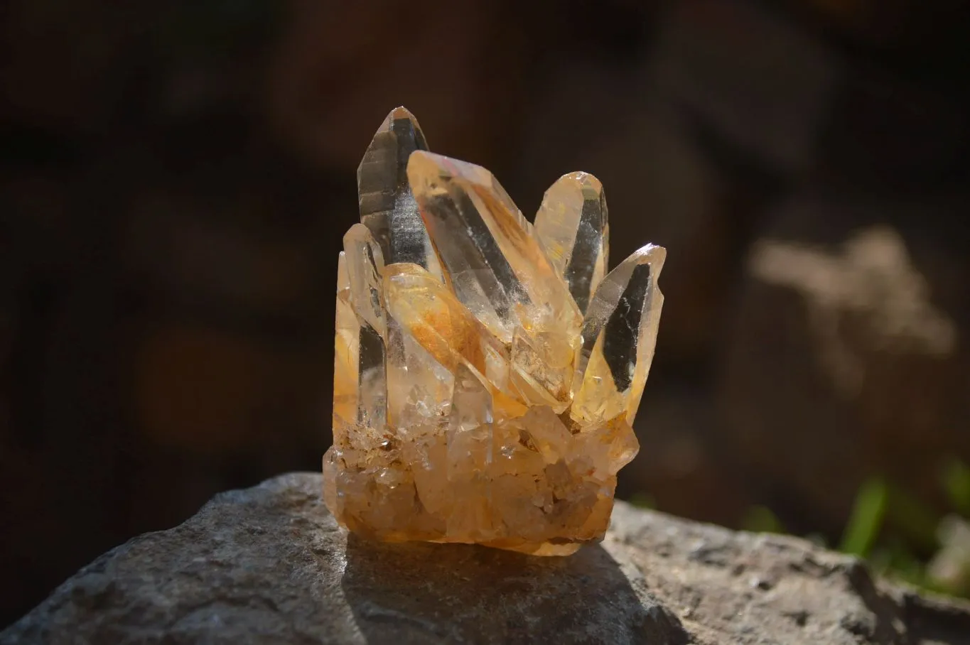 Natural Clear Quartz Crystals x 12 From Mpika, Zambia