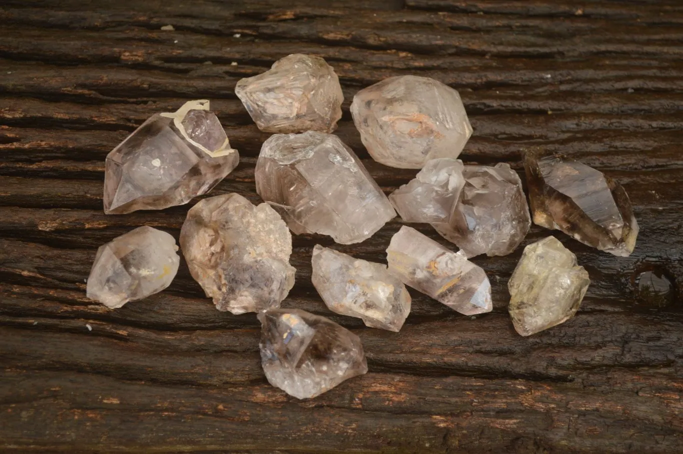 Natural Gorgeous Clear / Smokey Window Brandberg Quartz Crystals x 12 From Brandberg, Namibia