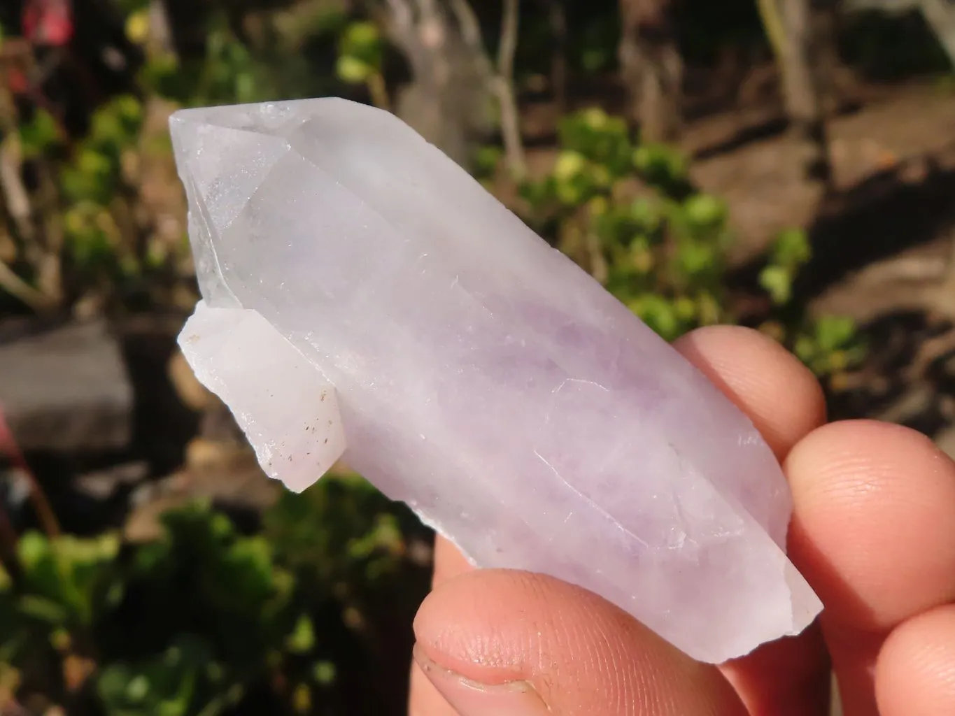 Natural Large Clear Brandberg Amethyst Quartz Crystals x 12 From Brandberg, Namibia