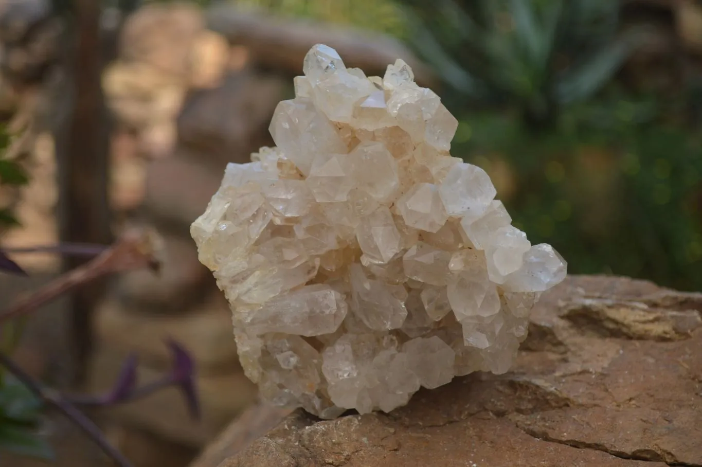 Natural Limonite Quartz Clusters x 3 From Zambia