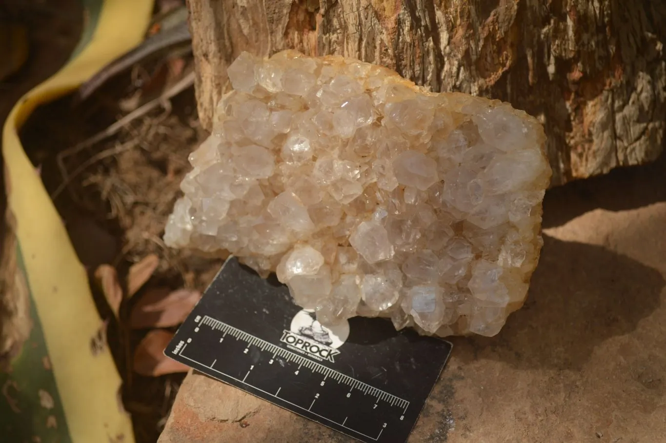 Natural Limonite Quartz Clusters x 3 From Zambia