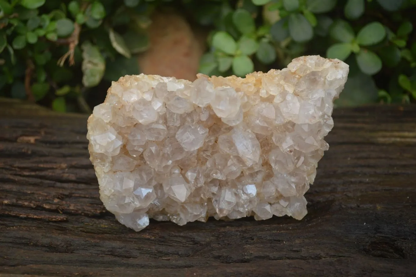 Natural Limonite Quartz Clusters x 3 From Zambia