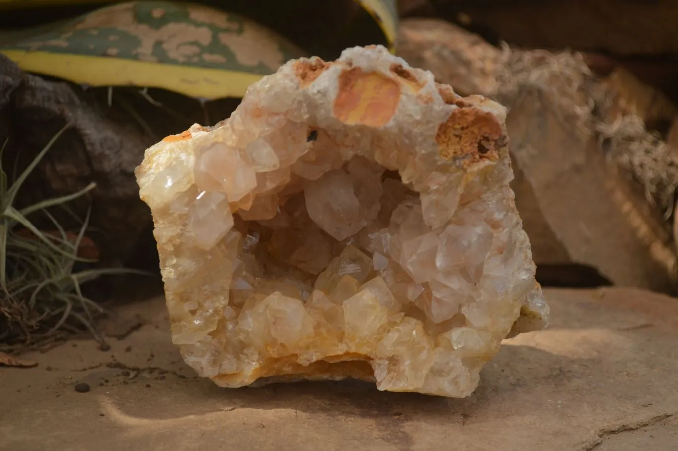 Natural Limonite Quartz Clusters x 3 From Zambia