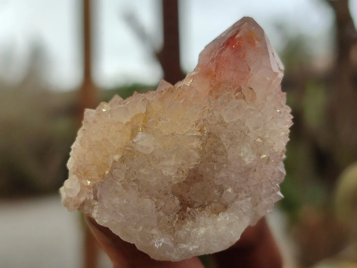 Natural Limonite Spirit Quartz Clusters x 35 From South Africa