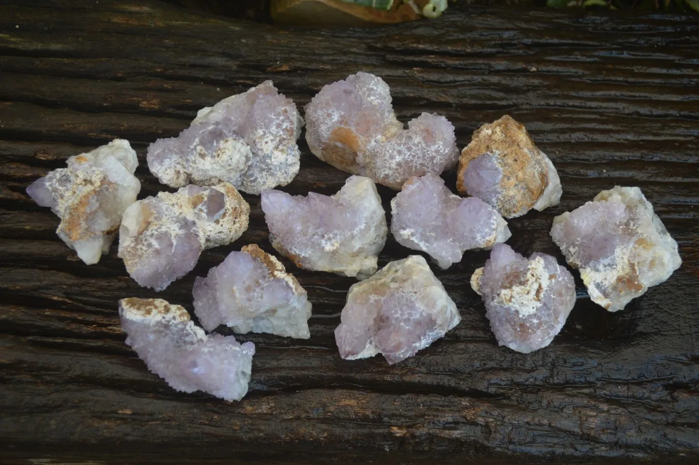 Natural Mixed Spirit Amethyst Quartz Crystals (Calcium On Some) x 12 From Boekenhouthoek, South Africa