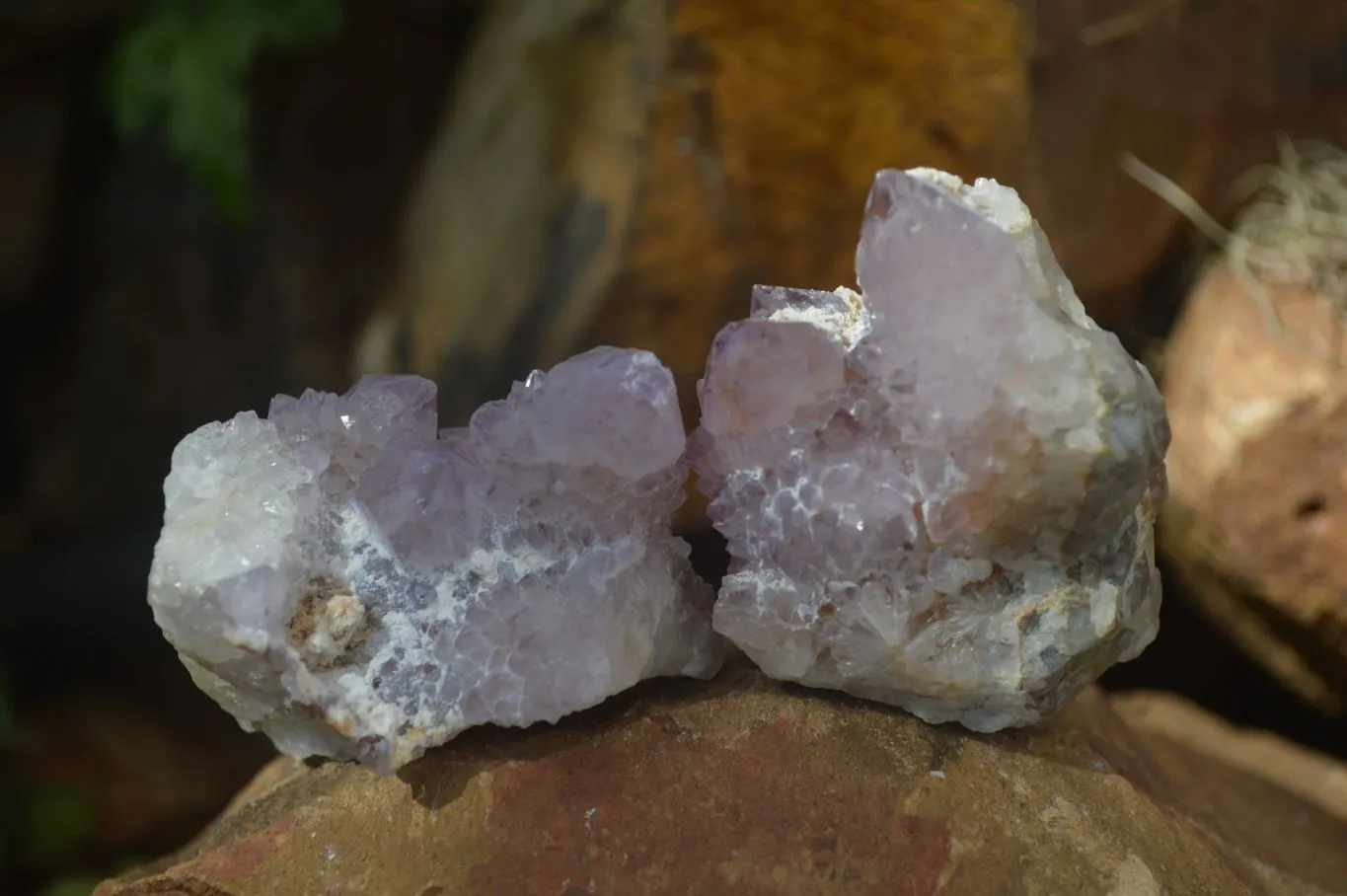 Natural Mixed Spirit Amethyst Quartz Crystals (Calcium On Some) x 12 From Boekenhouthoek, South Africa