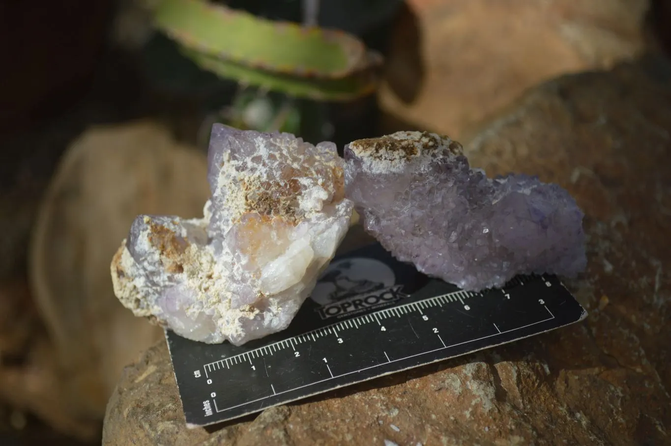 Natural Mixed Spirit Amethyst Quartz Crystals (Calcium On Some) x 12 From Boekenhouthoek, South Africa