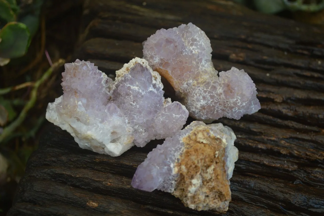 Natural Mixed Spirit Amethyst Quartz Crystals (Calcium On Some) x 12 From Boekenhouthoek, South Africa