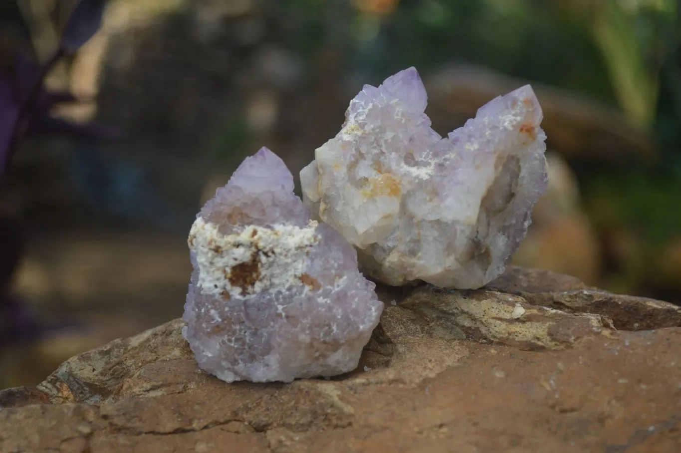 Natural Mixed Spirit Amethyst Quartz Crystals (Calcium On Some) x 12 From Boekenhouthoek, South Africa