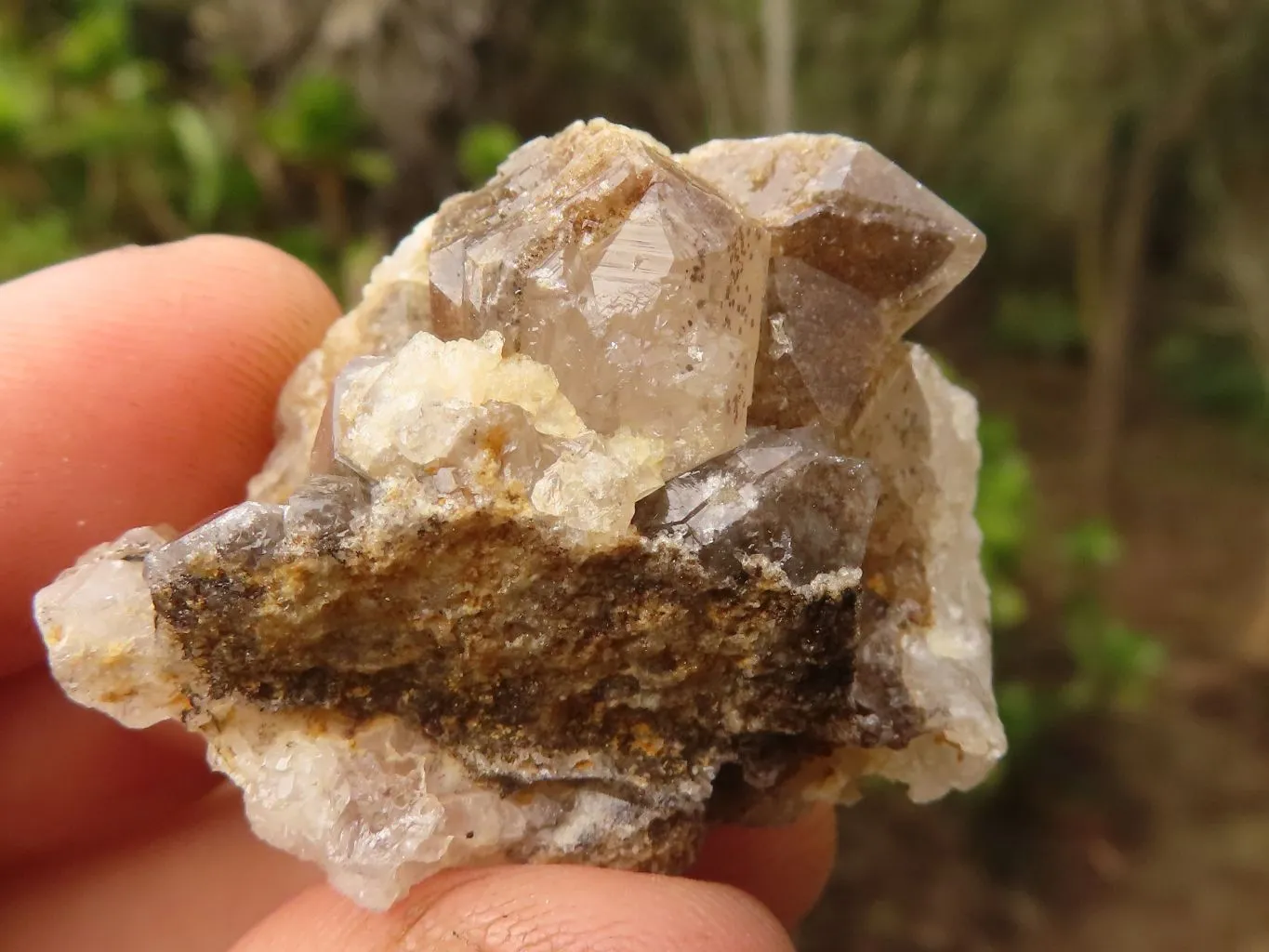 Natural Small Limonite Quartz Clusters x 70 From Solwezi, Zambia