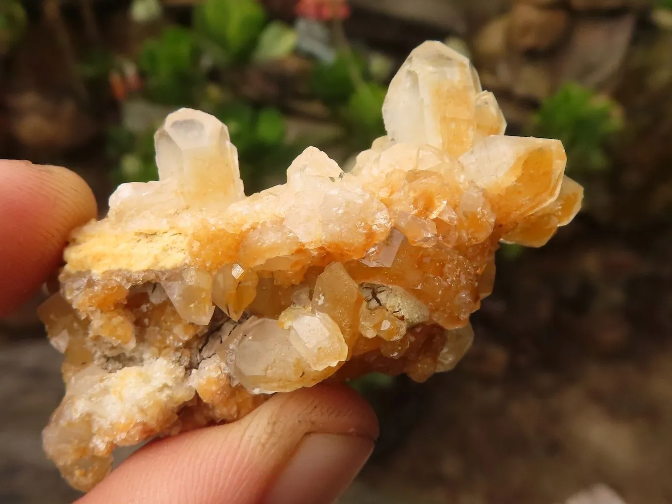 Natural Small Limonite Quartz Clusters x 70 From Solwezi, Zambia