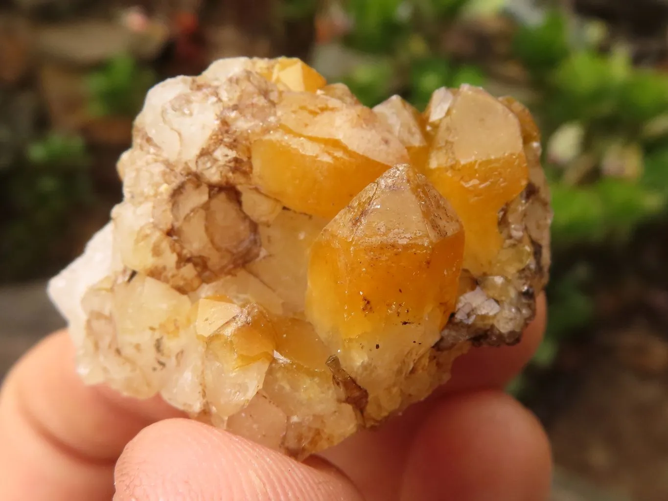 Natural Small Limonite Quartz Clusters x 70 From Solwezi, Zambia