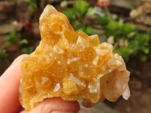 Natural Small Limonite Quartz Clusters x 70 From Solwezi, Zambia