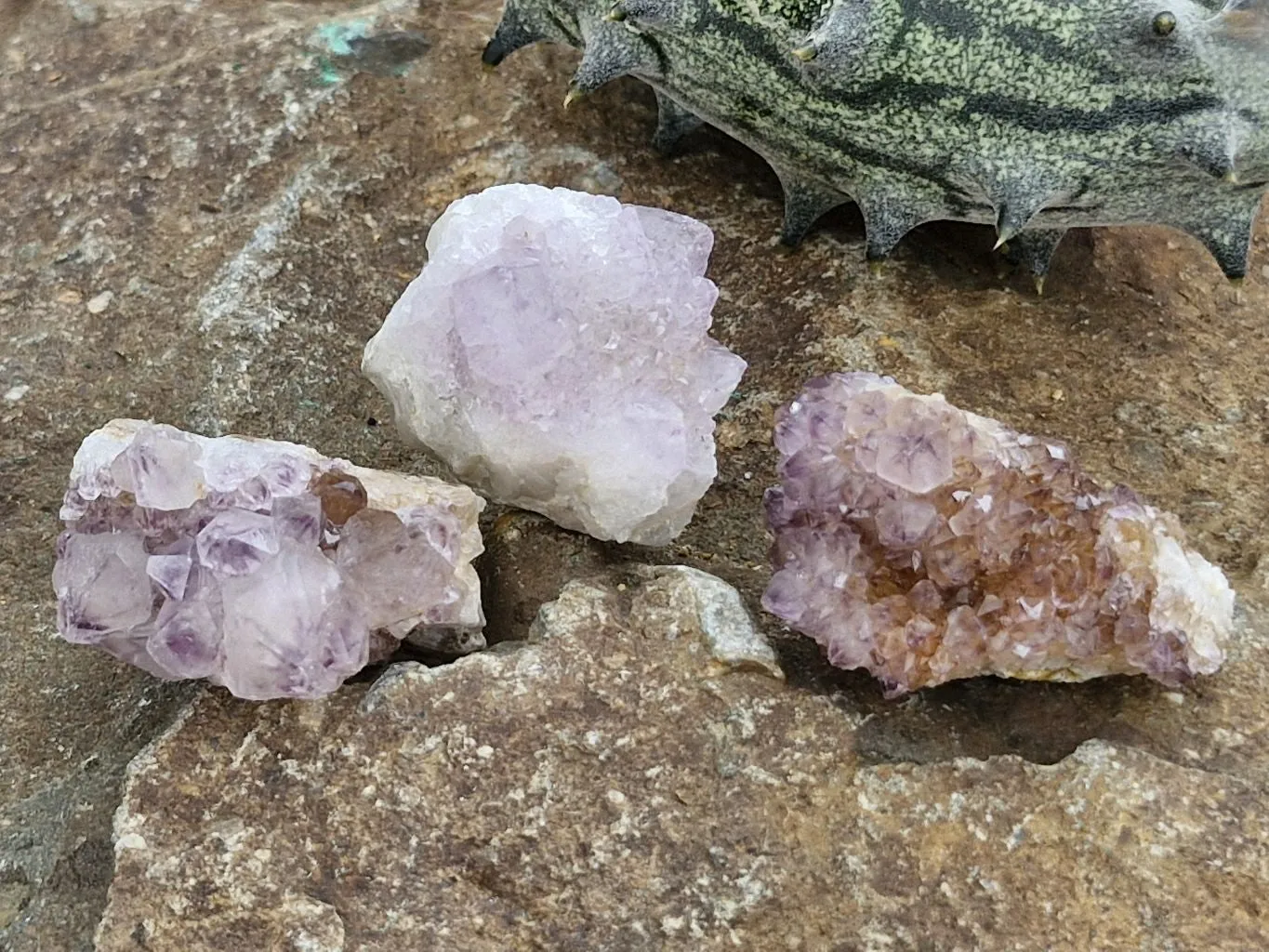 Natural Small Mixed Spirit Quartz Specimens x 35 From Boekenhouthoek, South Africa