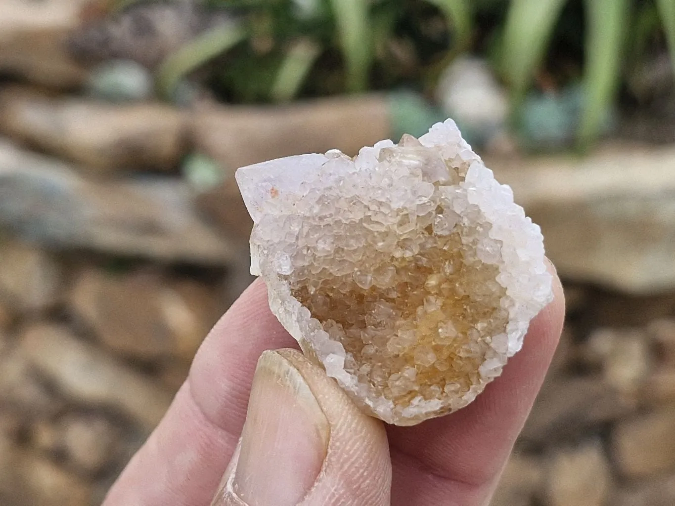 Natural Small Mixed Spirit Quartz Specimens x 35 From Boekenhouthoek, South Africa