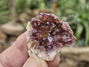 Natural Small Mixed Spirit Quartz Specimens x 35 From Boekenhouthoek, South Africa