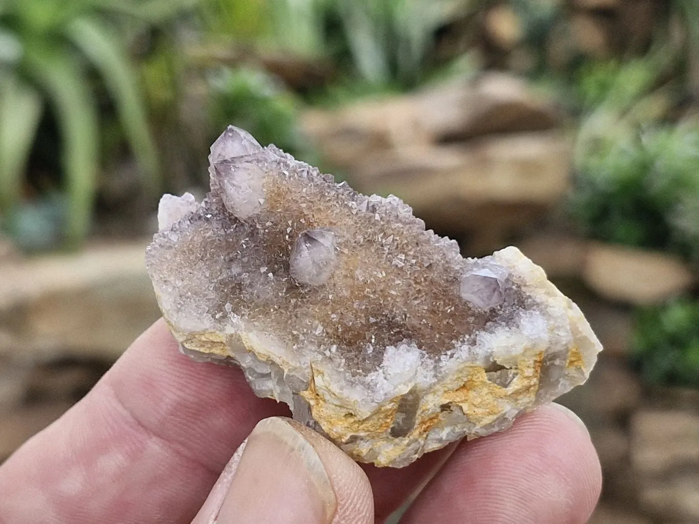 Natural Small Mixed Spirit Quartz Specimens x 35 From Boekenhouthoek, South Africa