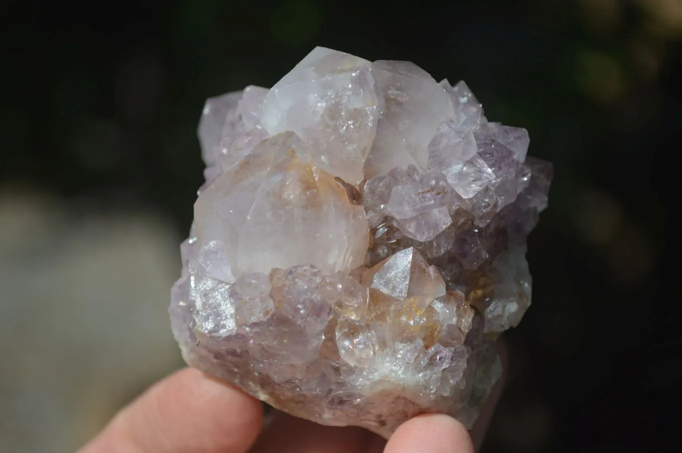 Natural Spirit Amethyst Cactus Quartz Clusters x 12 From Boekenhouthoek, South Africa