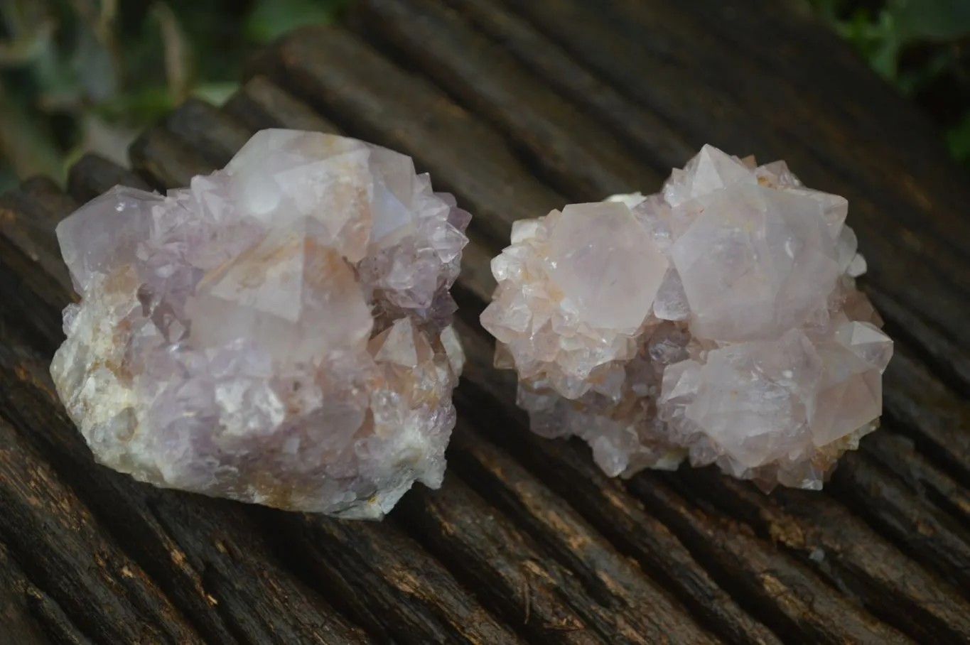 Natural Spirit Amethyst Cactus Quartz Clusters x 12 From Boekenhouthoek, South Africa