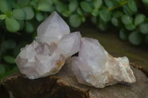 Natural Spirit Amethyst Cactus Quartz Clusters x 12 From Boekenhouthoek, South Africa