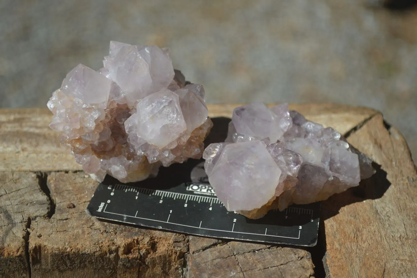 Natural Spirit Amethyst Cactus Quartz Clusters x 12 From Boekenhouthoek, South Africa