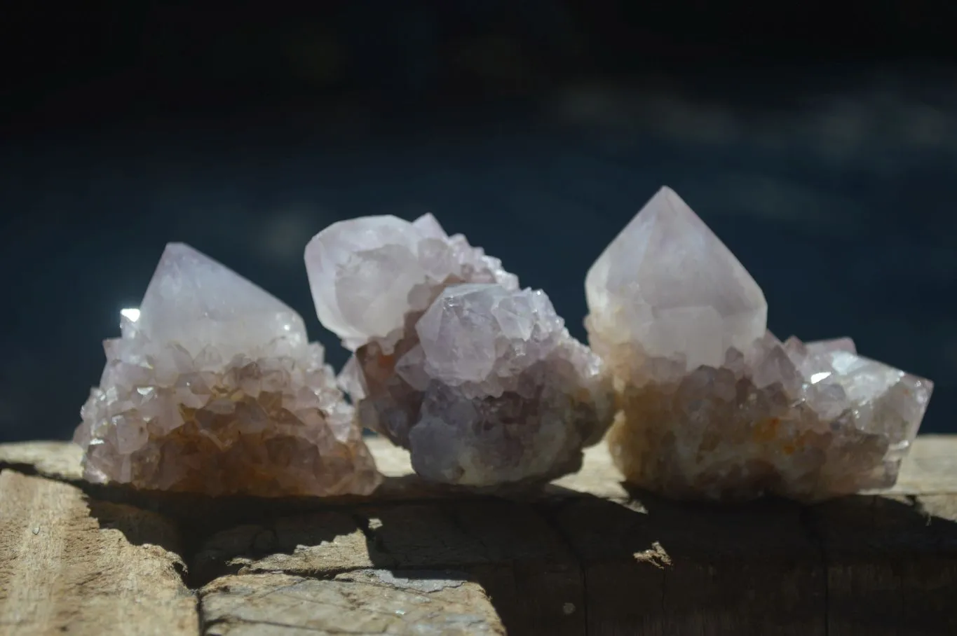 Natural Spirit Amethyst Cactus Quartz Clusters x 12 From Boekenhouthoek, South Africa