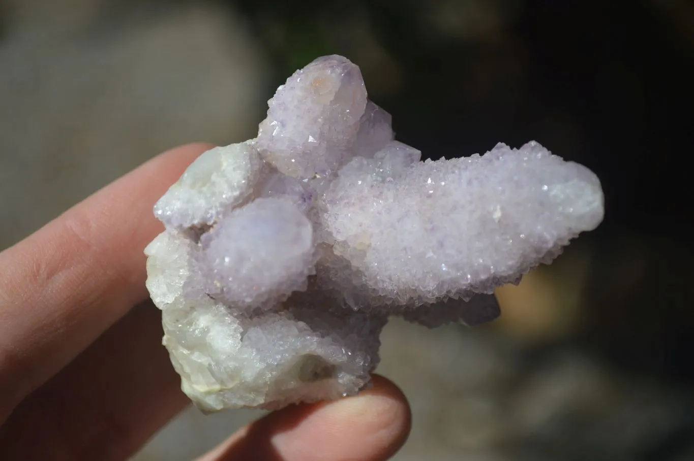 Natural Spirit Amethyst Cactus Quartz Clusters x 12 From Boekenhouthoek, South Africa