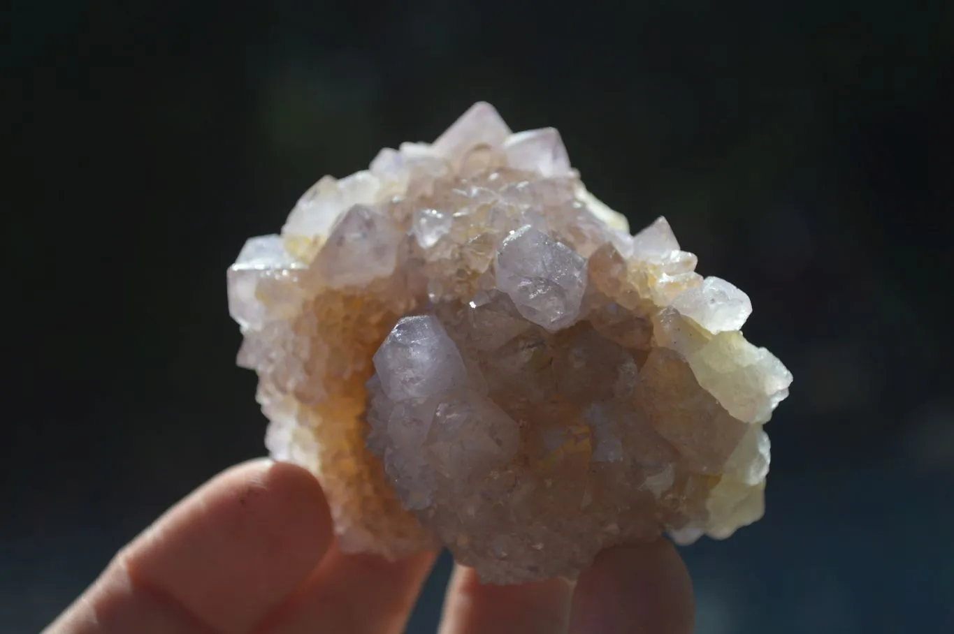 Natural Spirit Amethyst Cactus Quartz Clusters x 12 From Boekenhouthoek, South Africa