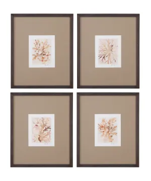 Parchment Coral - Framed Print (Set of 4) - Brown