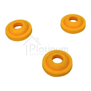 Platinum Plug Sealing Washers