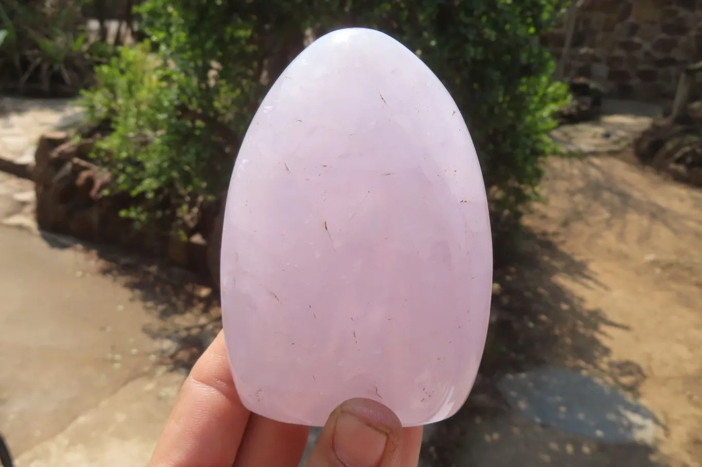 Polished Blue Rose Quartz Standing Free Forms x 3 From Madagascar