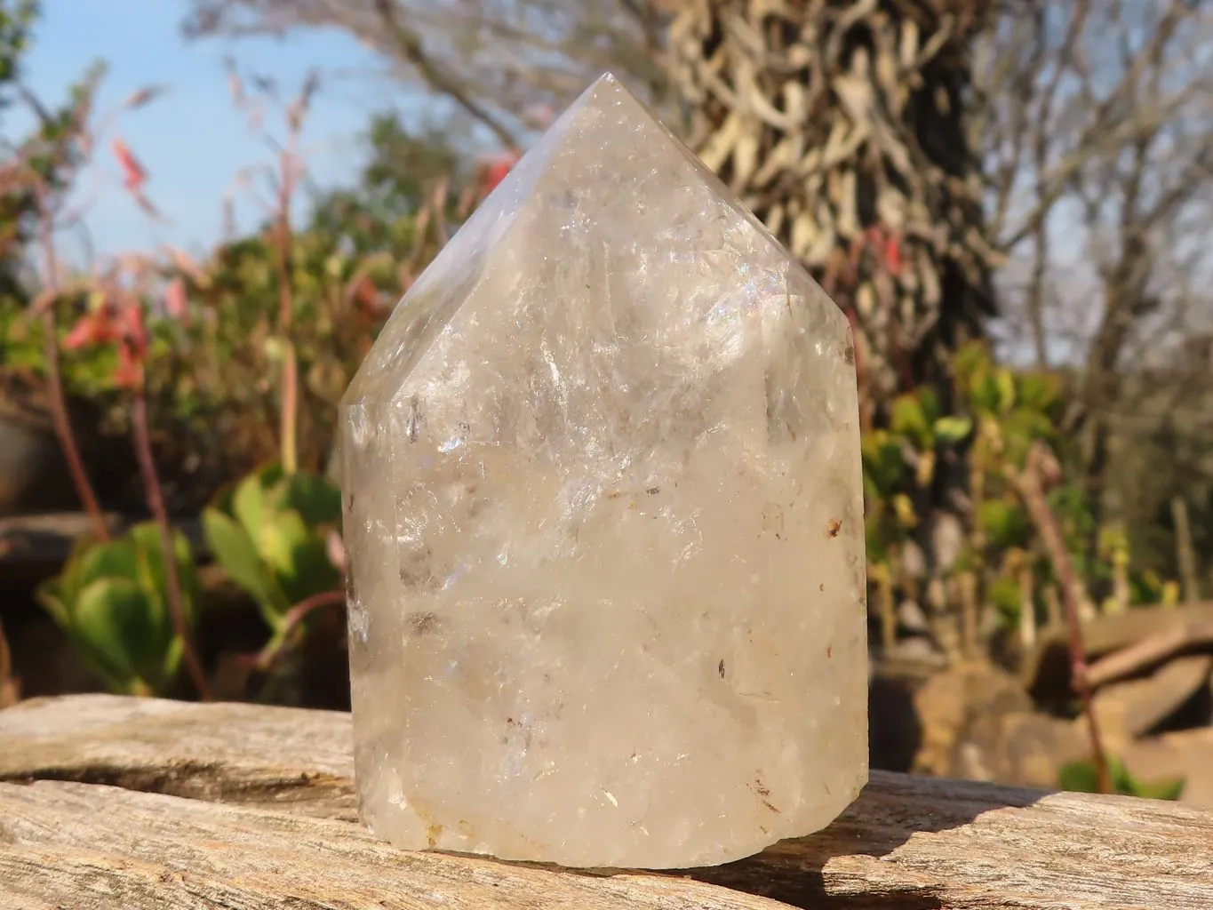 Polished Mixed Selection Of Quartz Points x 6 From Angola