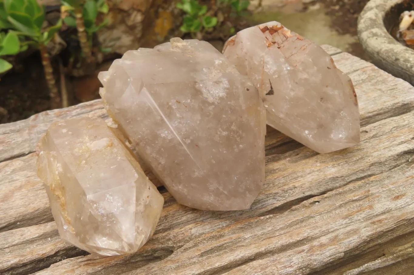 Polished Partially Arcadian Quartz Crystals x 3 From Angola