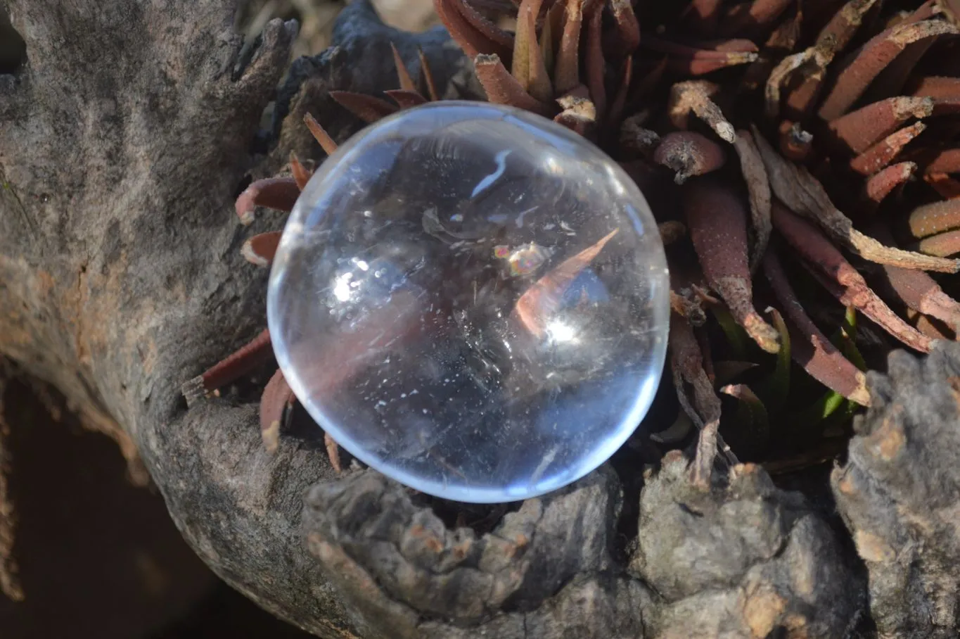 Polished Semi Optic Clear Quartz Galet / Palm Stones x 12 From Madagascar