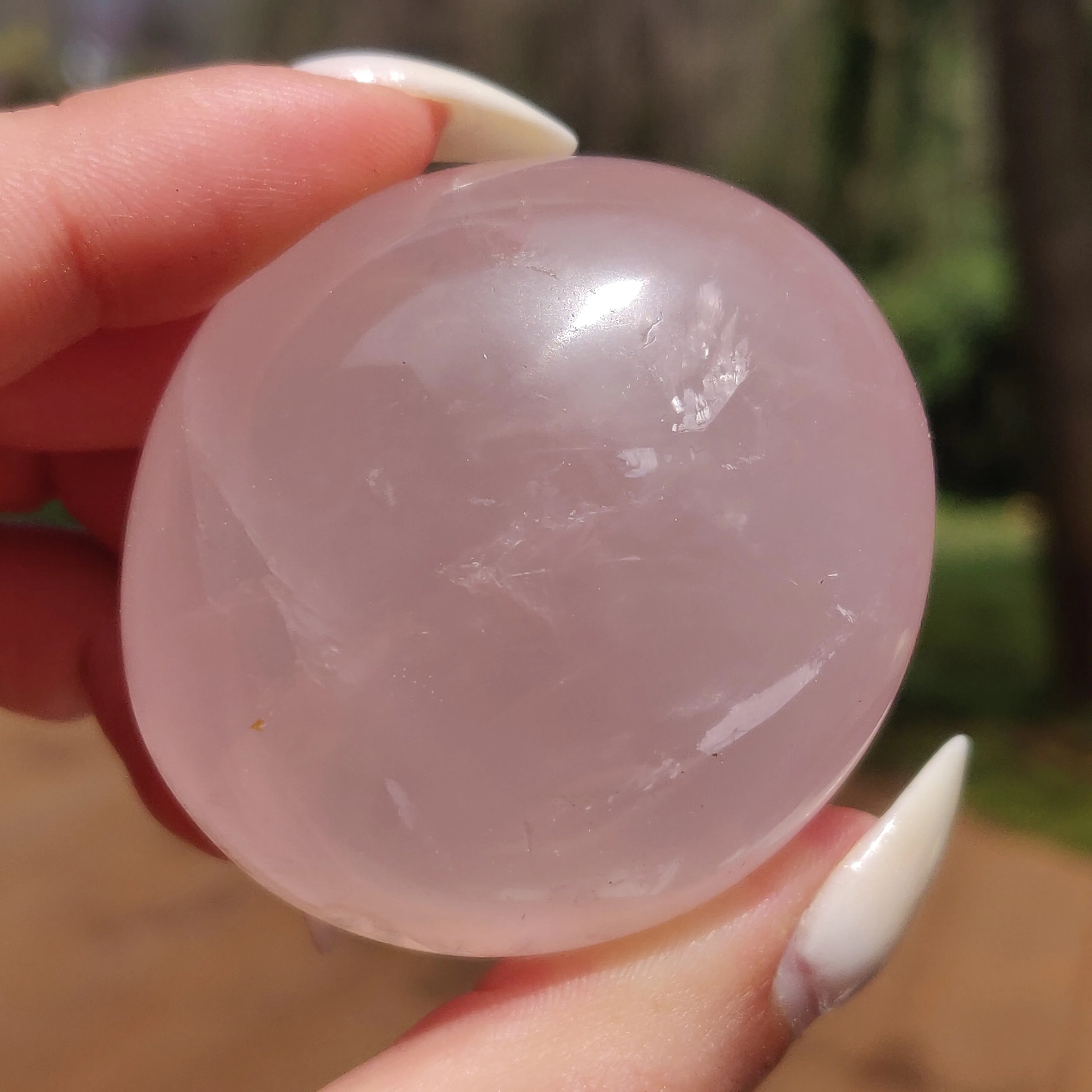 Rose Quartz Palm Stone, Star Rose Quartz (#10)