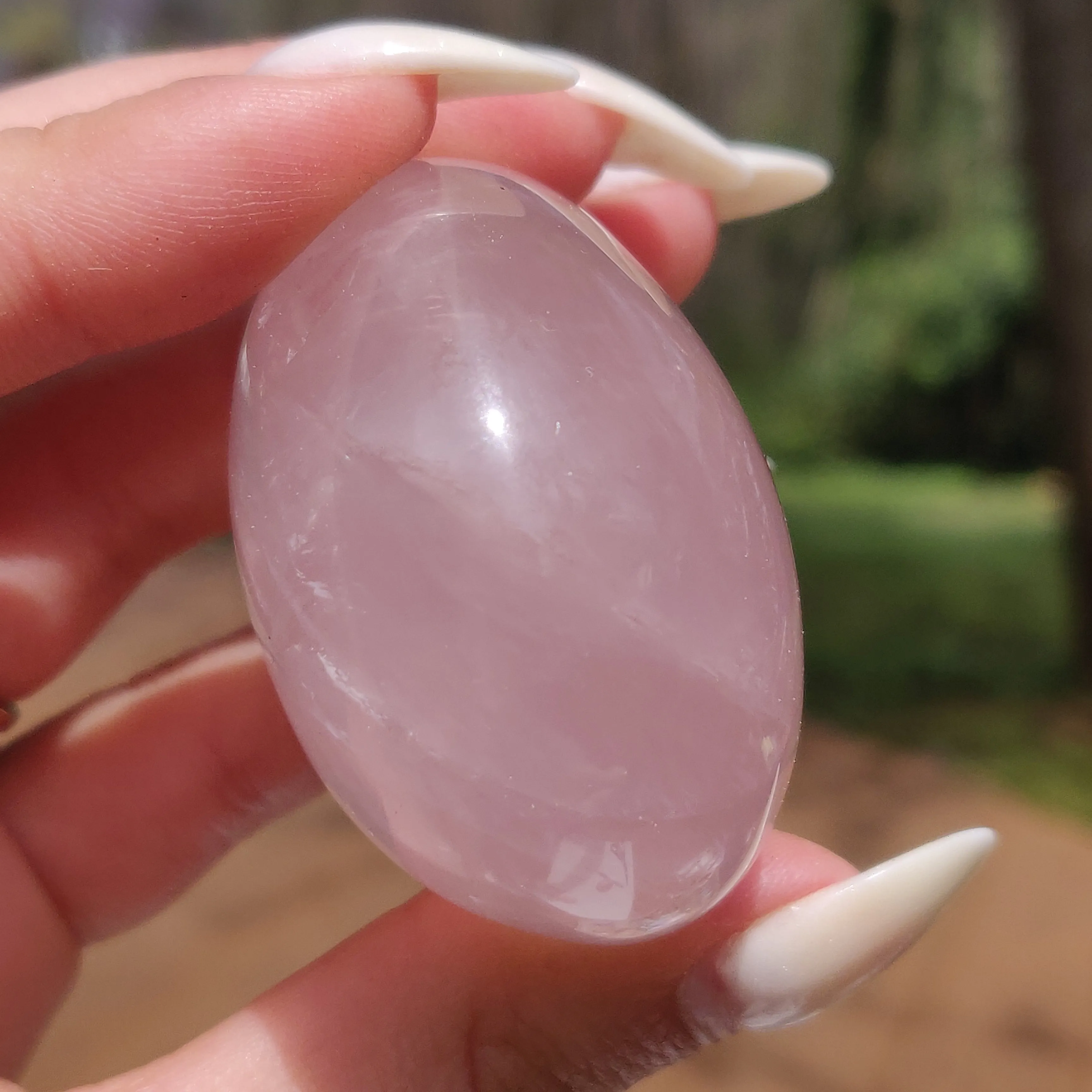 Rose Quartz Palm Stone, Star Rose Quartz (#10)