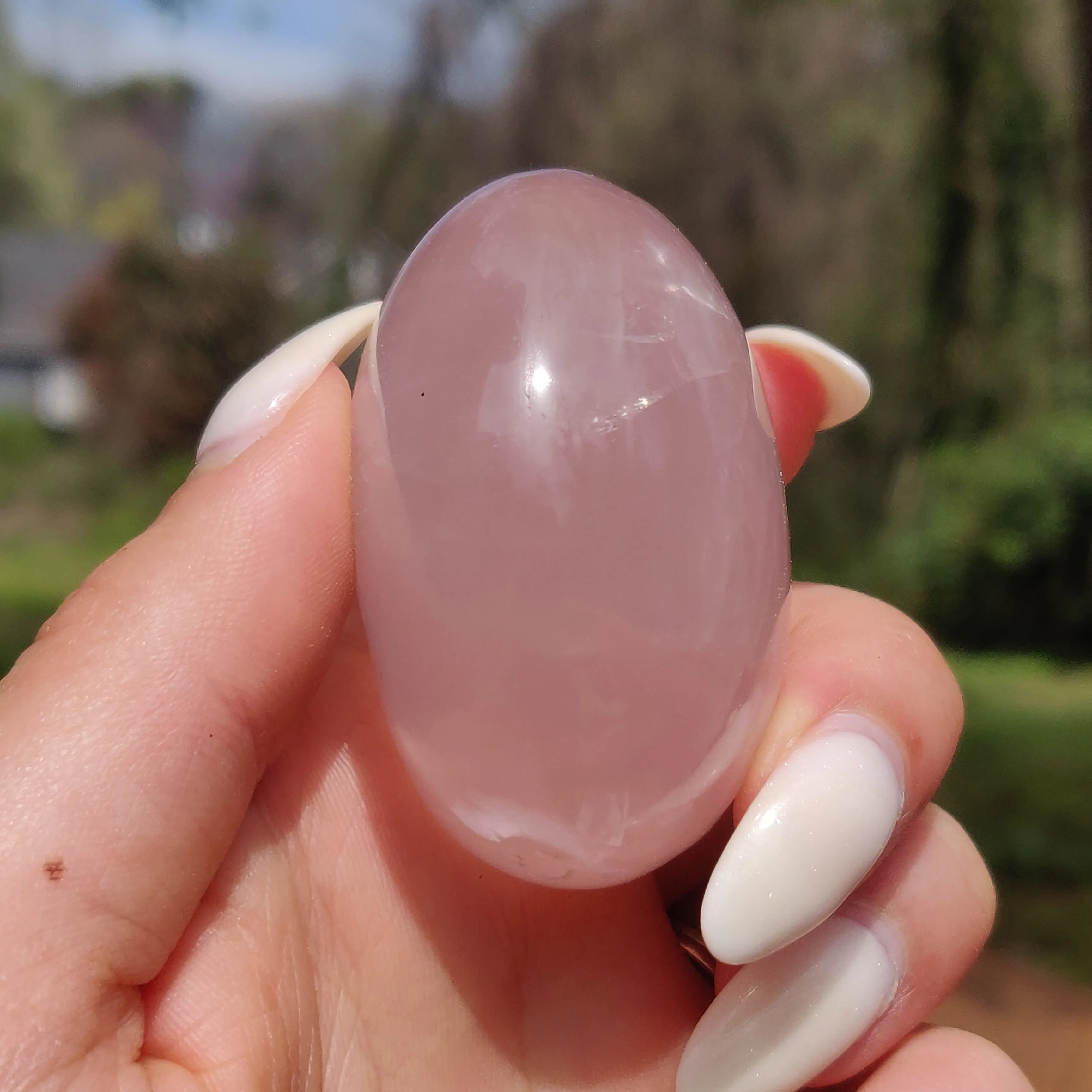 Rose Quartz Palm Stone, Star Rose Quartz (#10)