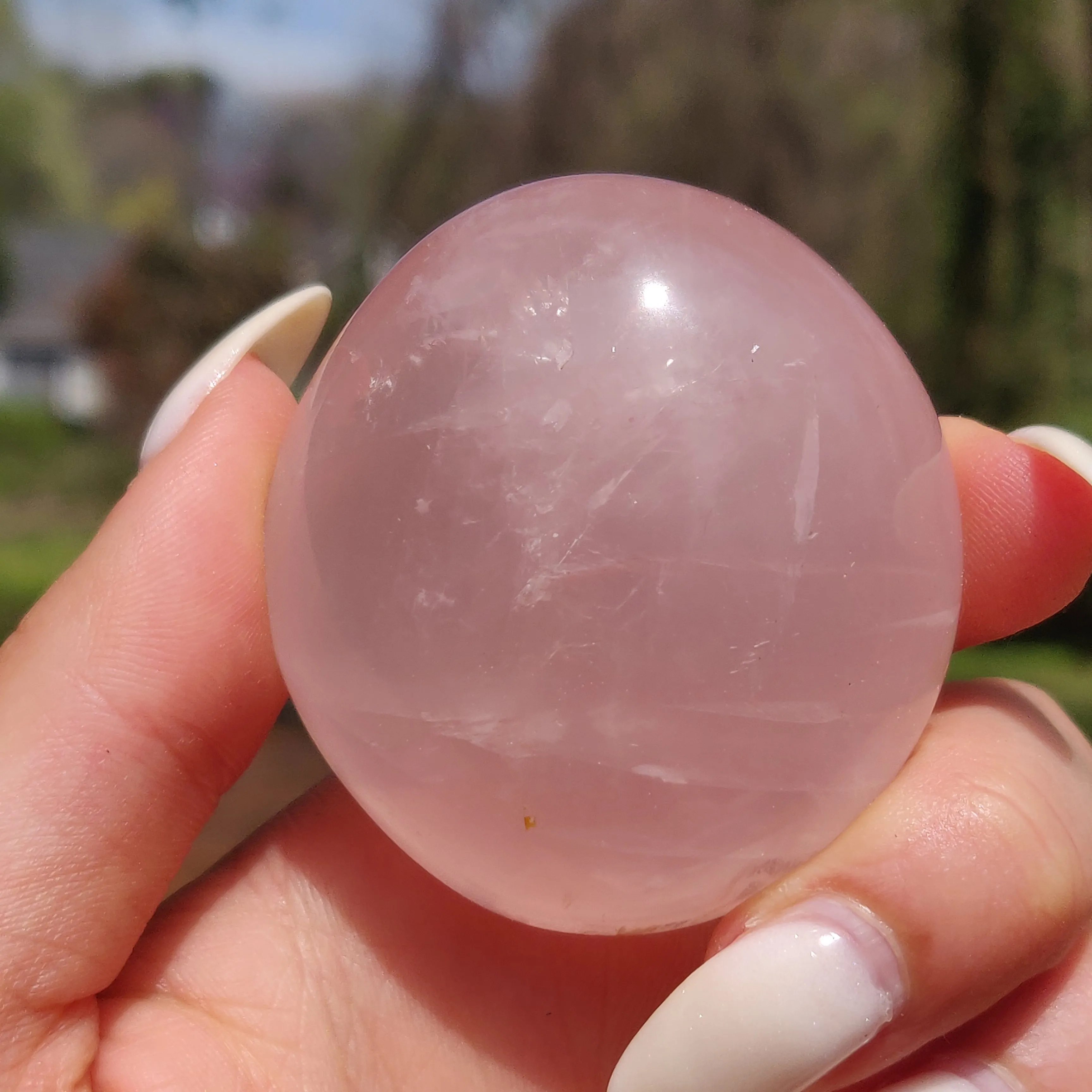 Rose Quartz Palm Stone, Star Rose Quartz (#10)