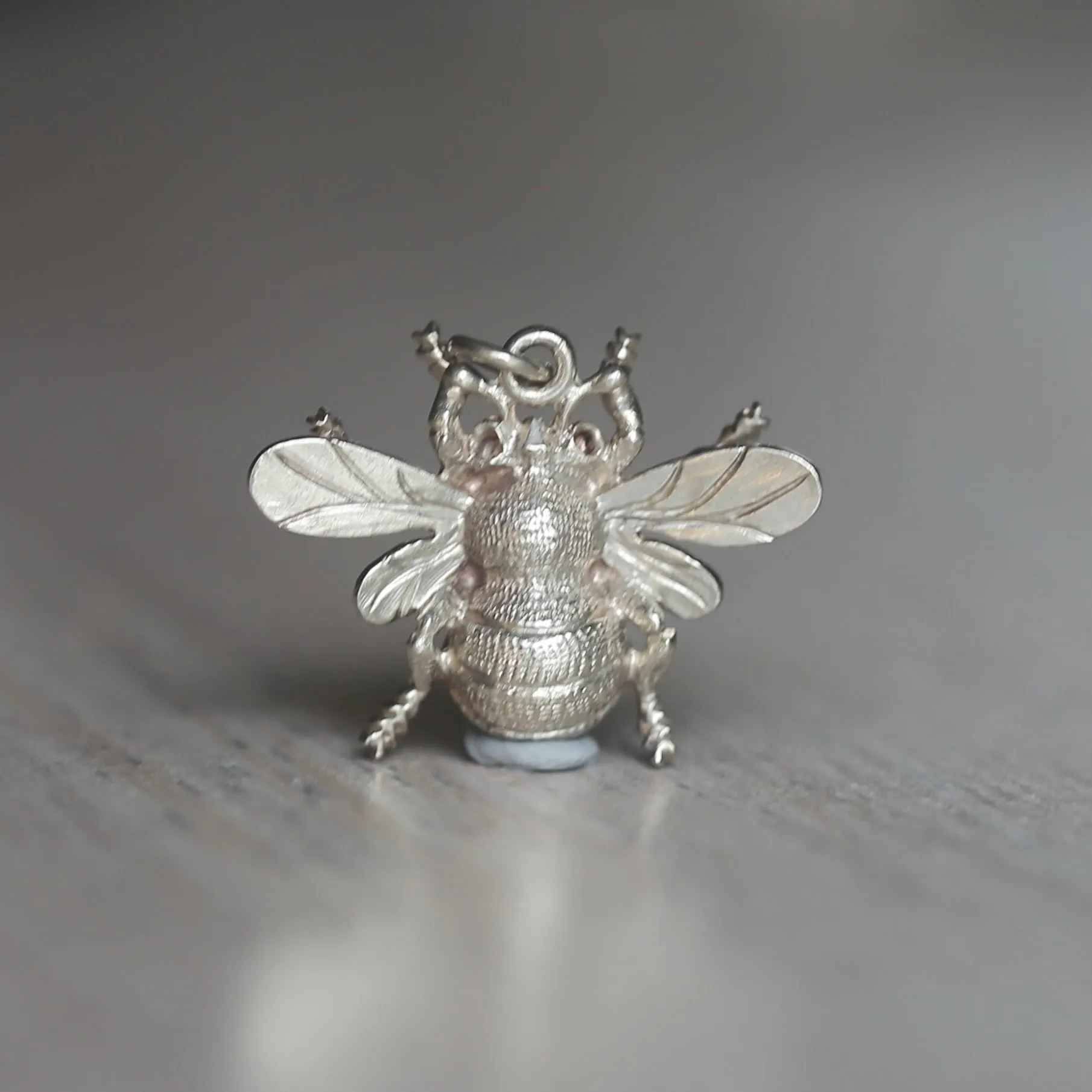 Silver Insect Charms