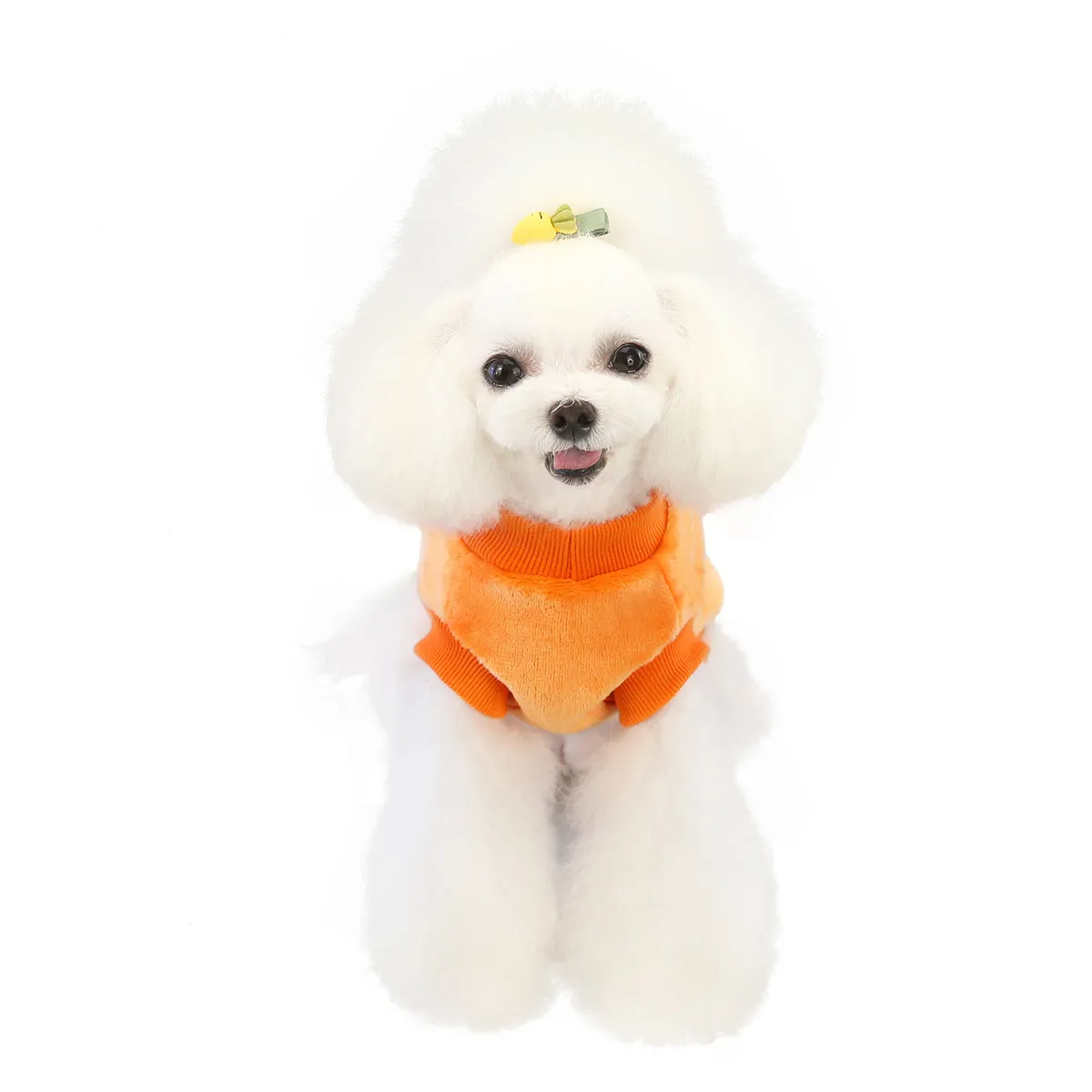 Small dog coral fleece home clothes pet clothes