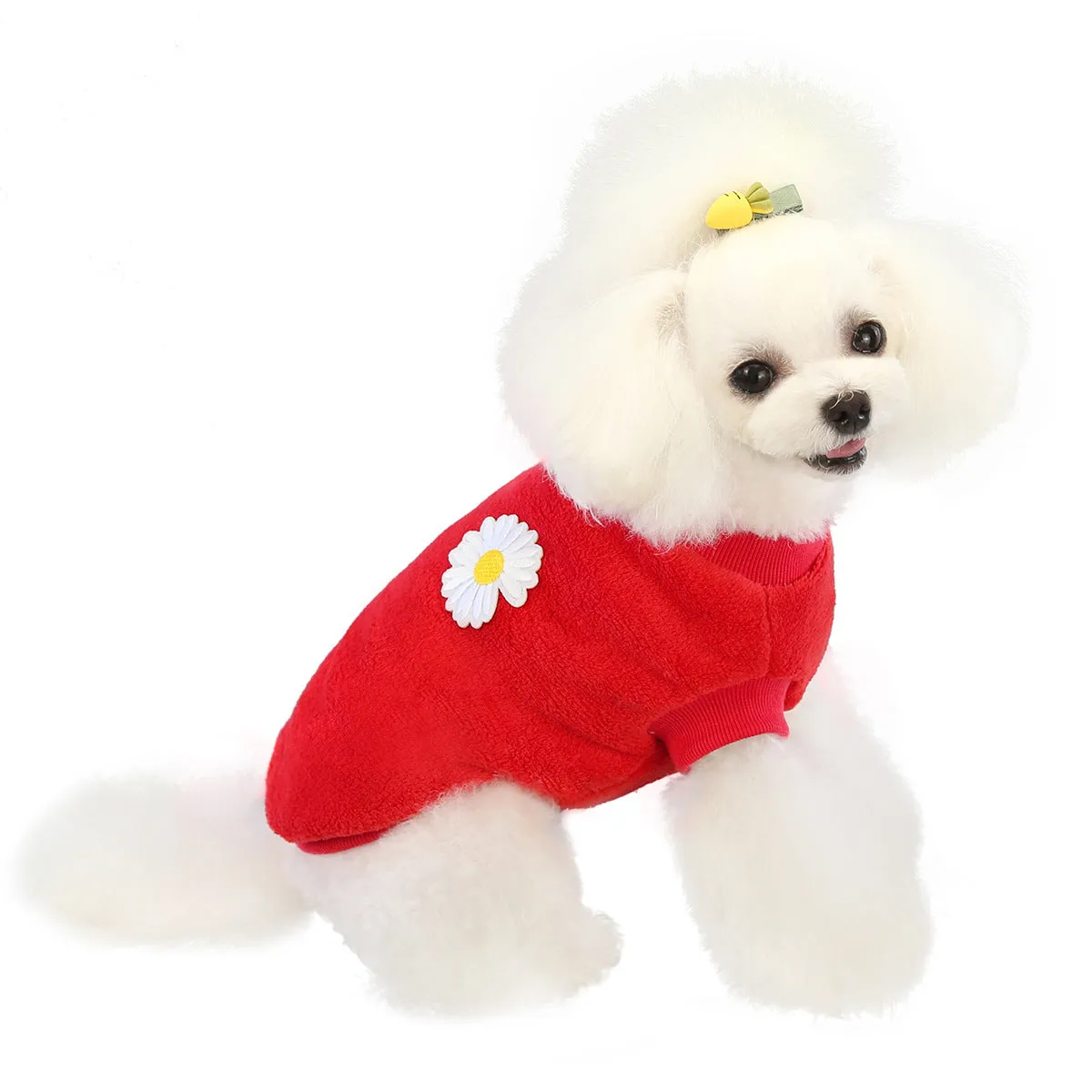 Small dog coral fleece home clothes pet clothes